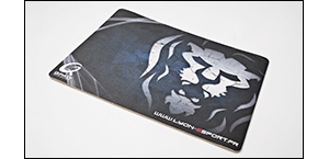 ���˿���������Lyon-Esport