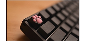 ����ֱ��F60����ZOMOèצ�Ļ�����������