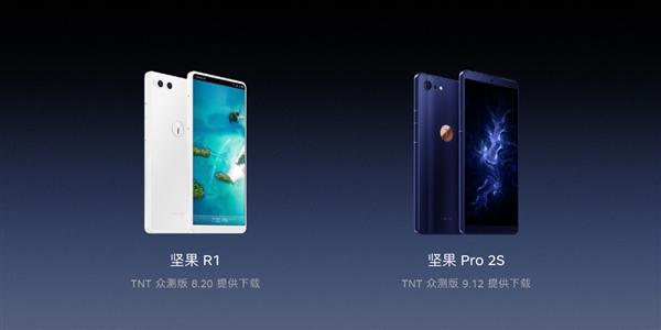 R1/Pro 2STNTϵͳʾ0Ԫ