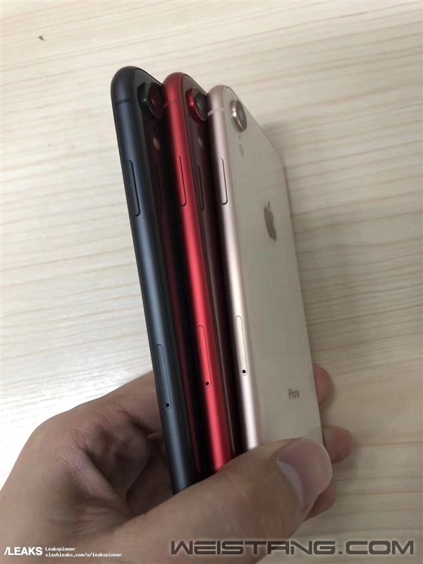 6.1��iPhone��ģ������֧��˫��