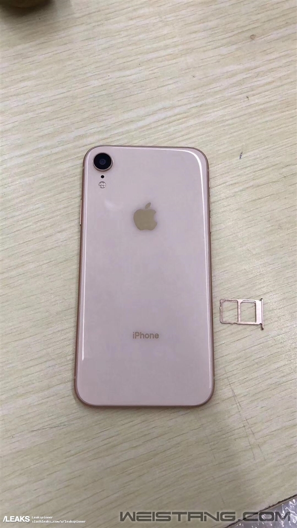 6.1��iPhone��ģ������֧��˫��