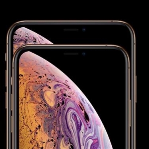 ���Ĺ���ʽ��iPhone Xs/Xs Max��è�׷�