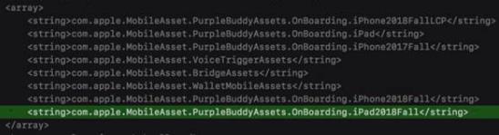 ƻ��iPad Pro������ܣ���10�·ݷ���