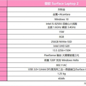 ����Ů������ �ҷ۽�ɫSurface Laptop 2�ʼǱ�����