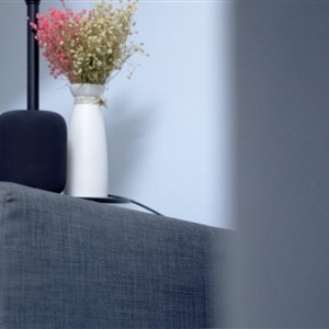 2799Ԫֵ��ƻ��HomePod������а�����