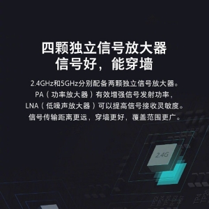 С��·����Mesh������˫·������