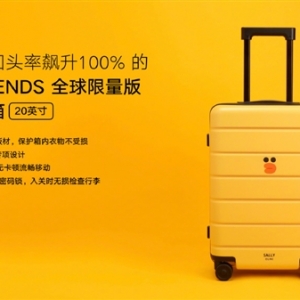 ����ͼ������������ С��9 SE����װ����