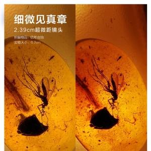 �ֻ����տ�ʼƴ΢���ˣ�����Z6 Pro�����ع�