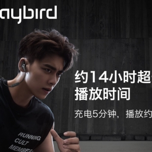 14Сʱ�������� Jaybird Tarah Pro�����˶���������