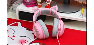 ���߱��������۾���������