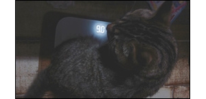 �׼����س�2����