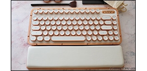 AZIO RCK/RCM POSH���߼�������