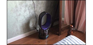 ��ɭAM10��ʪ������