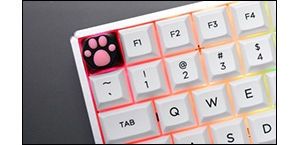 ����������ڼ�����