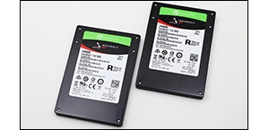 ϣ�ݿ���IronWolf 110 SSD����