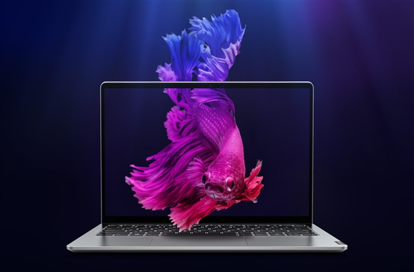 NVIDIA MX350�Կ��ع⣺�����׷� ���������ף�