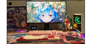 ������&DUCKY��������̿���