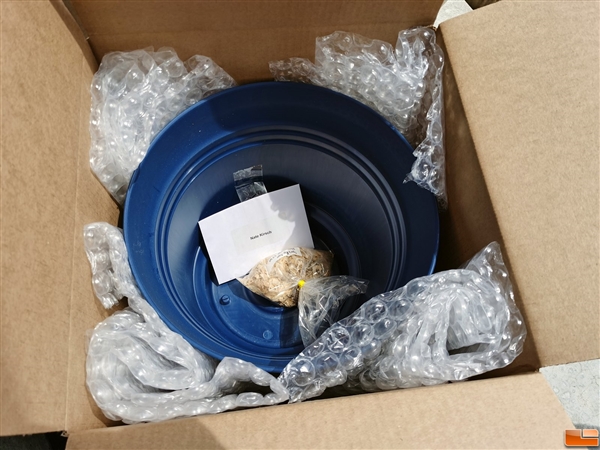 Intel�ͻ���Tiger Lake 11���������ǰ��