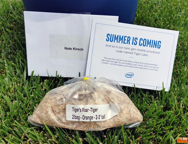 Intel�ͻ���Tiger Lake 11���������ǰ��
