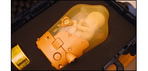 ��������ǳ����ذ濪��