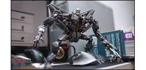 ��300Ԫ����������棡