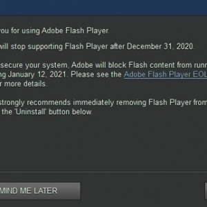 Win10ж Adobe Flash Playerϱս