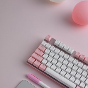 �۰���Ů�� �װ�V500PRO��ݮţ�̱�����Ϸ��е��������