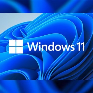 Win11ʽˣͥרҵв