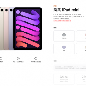 ���������������iPad mini�����ϼ�