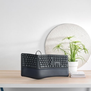 17��ƽ𻡶ȣ��װ�NK8800���幤ѧ���߼�����Ƶ