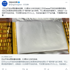 �ձ���˾�����µ��������綯�������1���ӳ�����