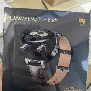 ���ϼ��ӸУ���ΪWatch Buds���أ��ֱ���������һ