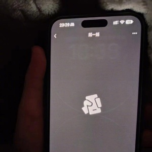 ����iPhone 14 Pro Max������������΢��ҡһҡ��ʾAOD����