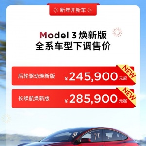 ׽˹Model 3°/Model Yۣ24.59Ԫ