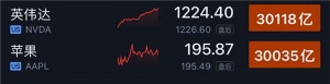 Խƻȫڶ̱NVIDIAǵж