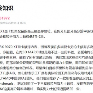 22��RX 9070 XT�����������Դ���Ĳ���SK����ʿ