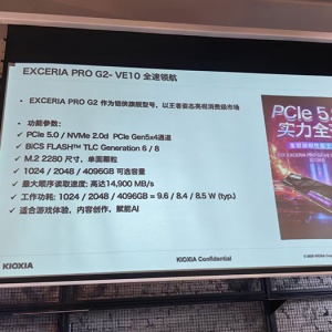 ����ʷ��������Ѽ�SSD���ˣ�����PCIe 5.0 SSD��ʽ����