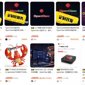 ��װOpenClaw��������򣺵������ſ��շ���ǧ��Ԫ